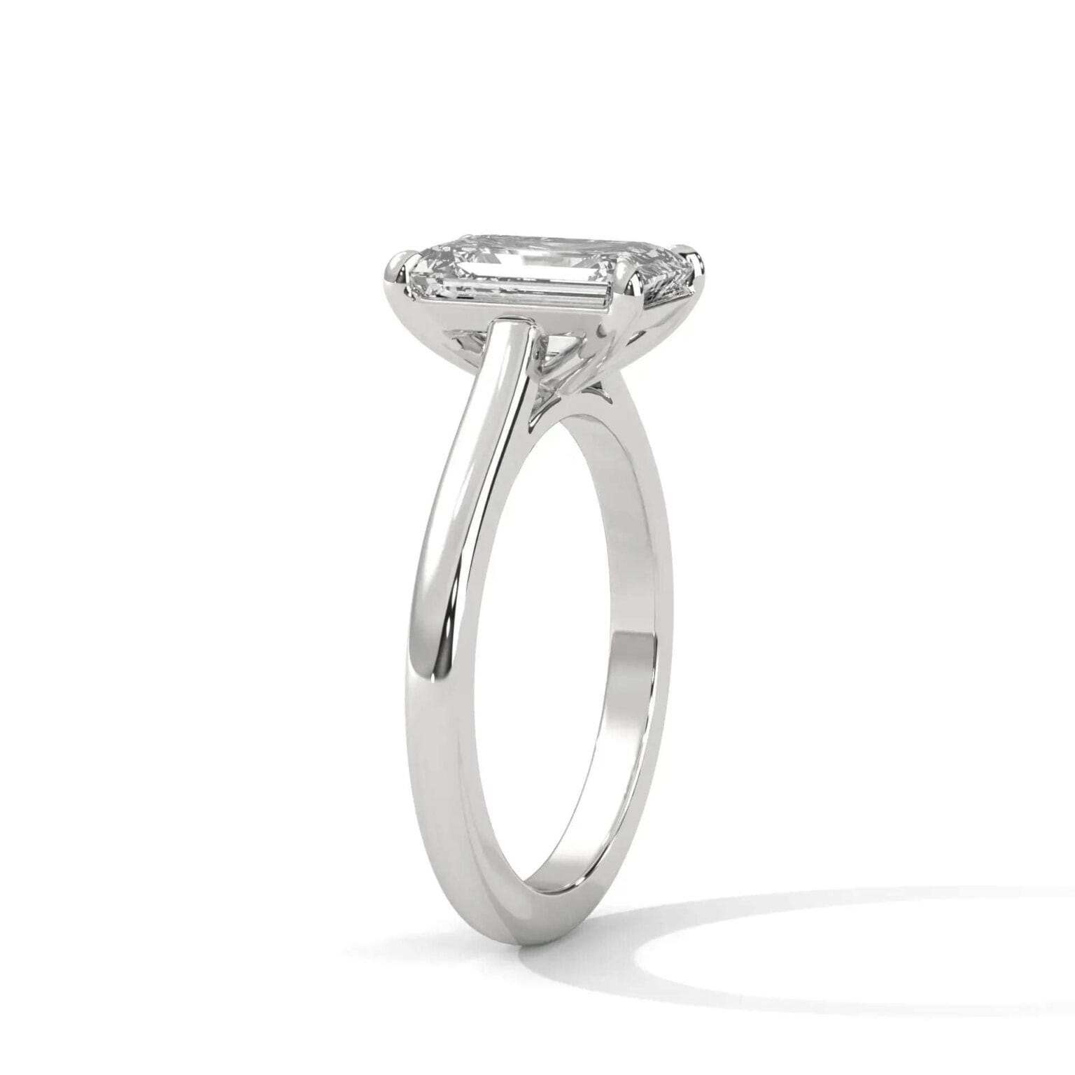 the cardinal cathedral setting