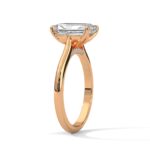 the solstice tulip setting