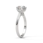 the solstice tulip setting