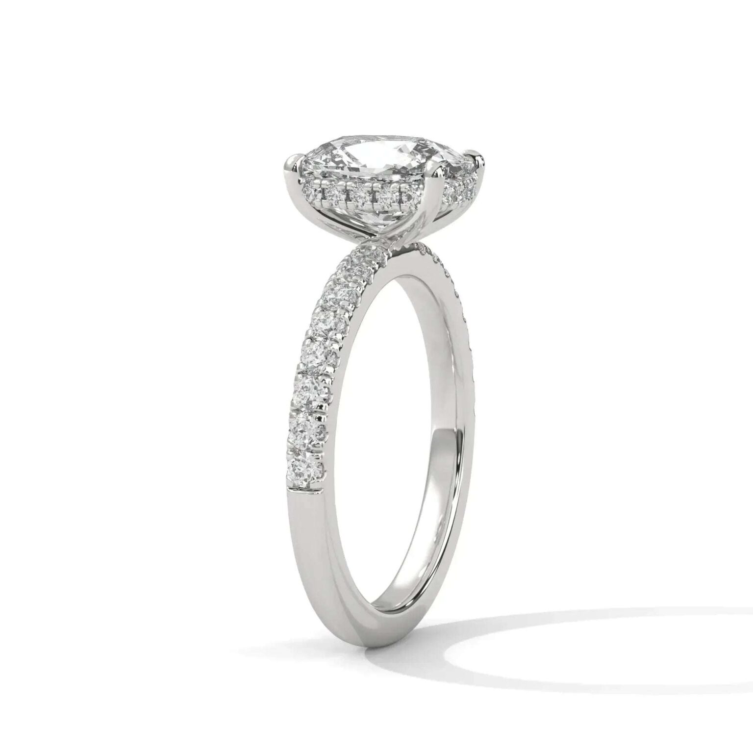 the sun belt setting