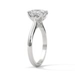 the solstice tulip setting