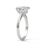 the solstice tulip setting