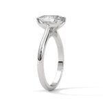 the solstice tulip setting