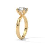 the ivora setting