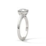 the cardinal cathedral setting