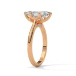 the solstice tulip setting