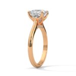 the solstice tulip setting