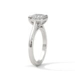 the cardinal cathedral setting