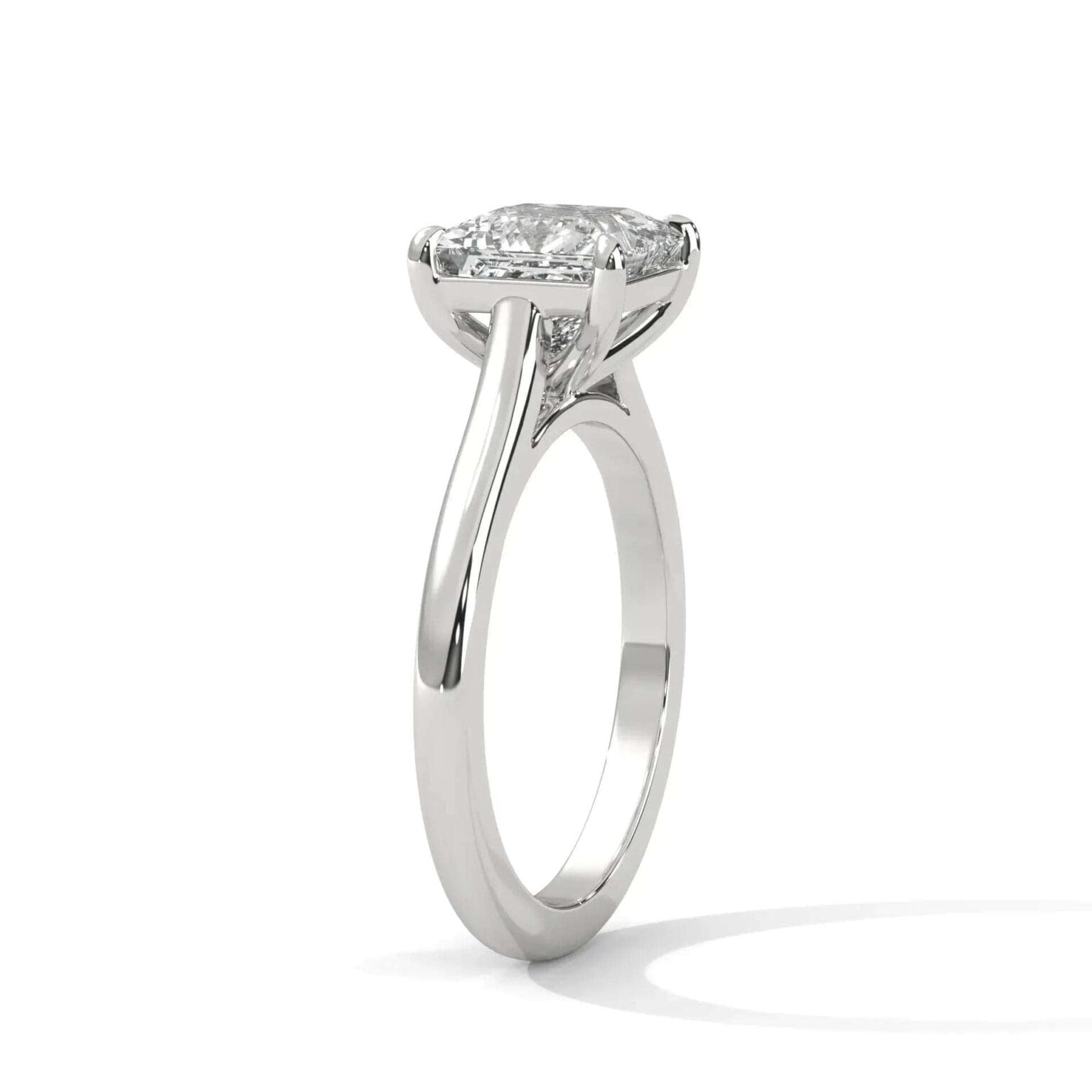 the cardinal cathedral setting