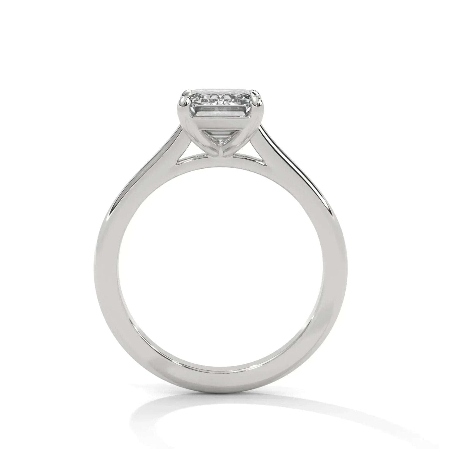 the cardinal cathedral setting