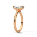 the solstice tulip setting