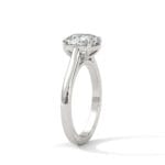 the cardinal cathedral setting