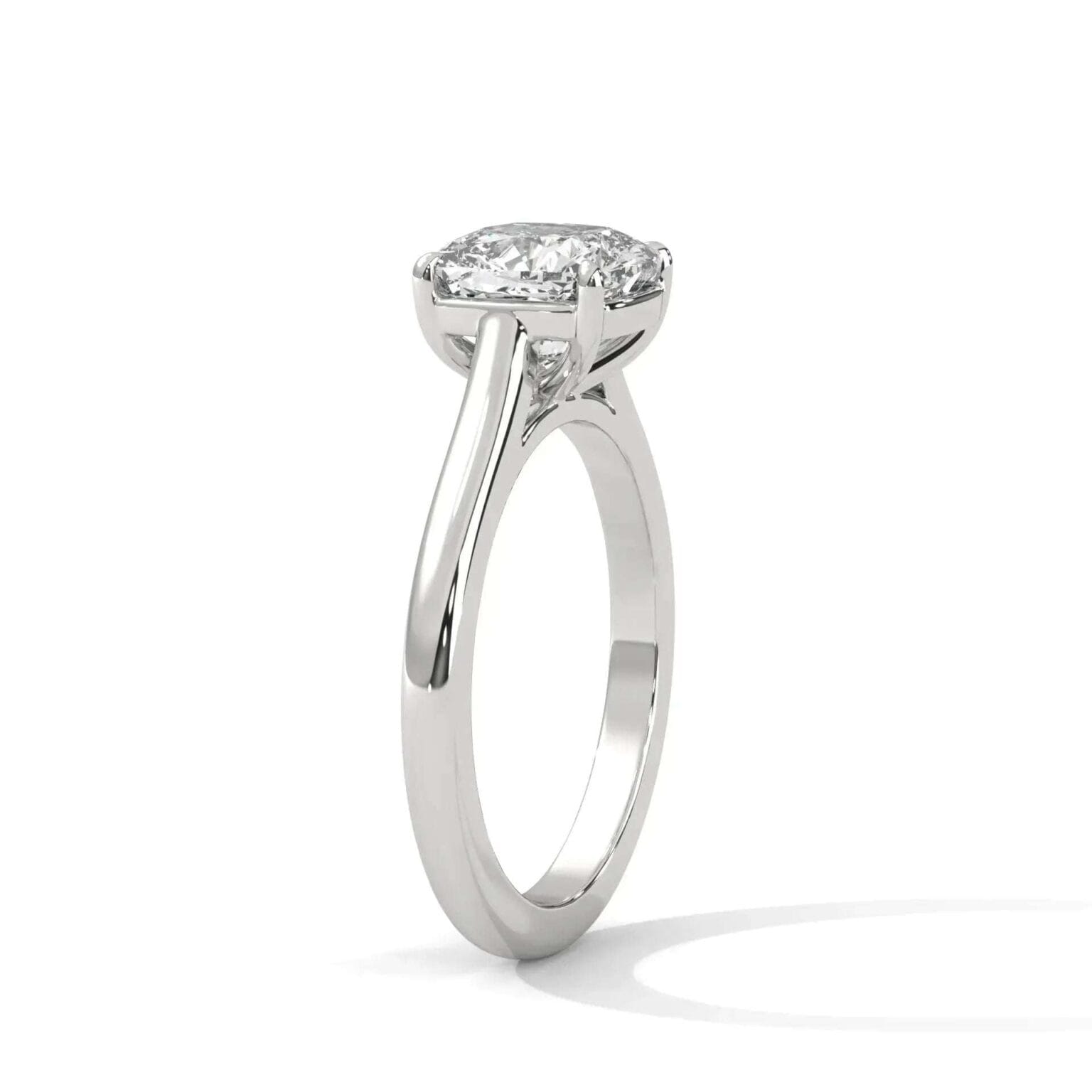 the cardinal cathedral setting