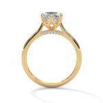 the solstice tulip setting