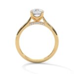 the solstice tulip setting