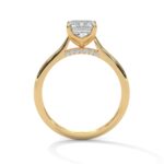 the solstice tulip setting