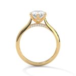 the solstice tulip setting