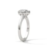 the cardinal cathedral setting