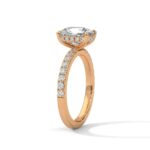 the sun belt setting