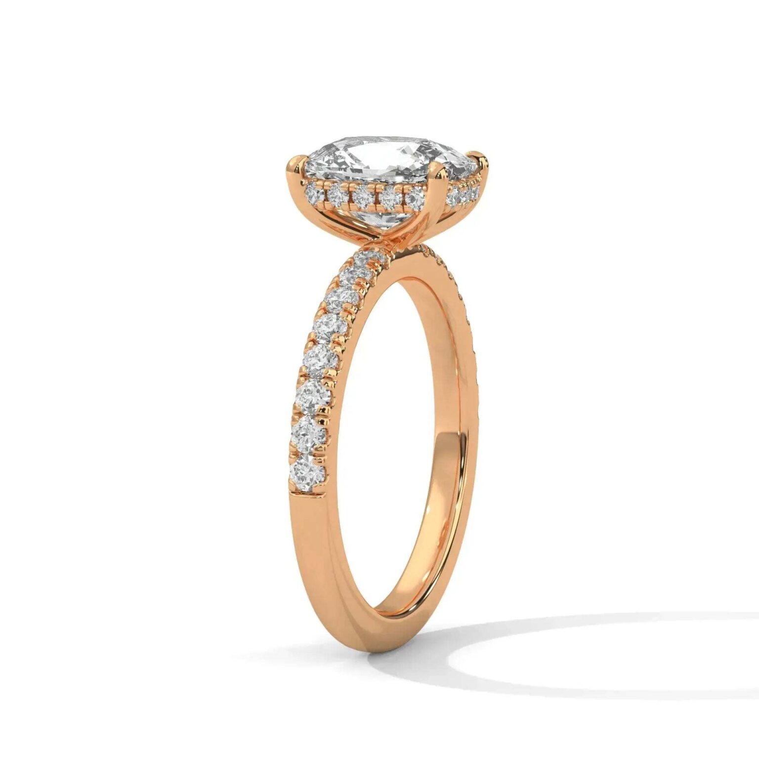 the sun belt setting