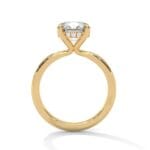 the ivora setting