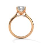 the solstice tulip setting