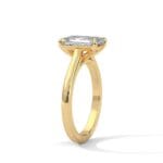 the cardinal cathedral setting