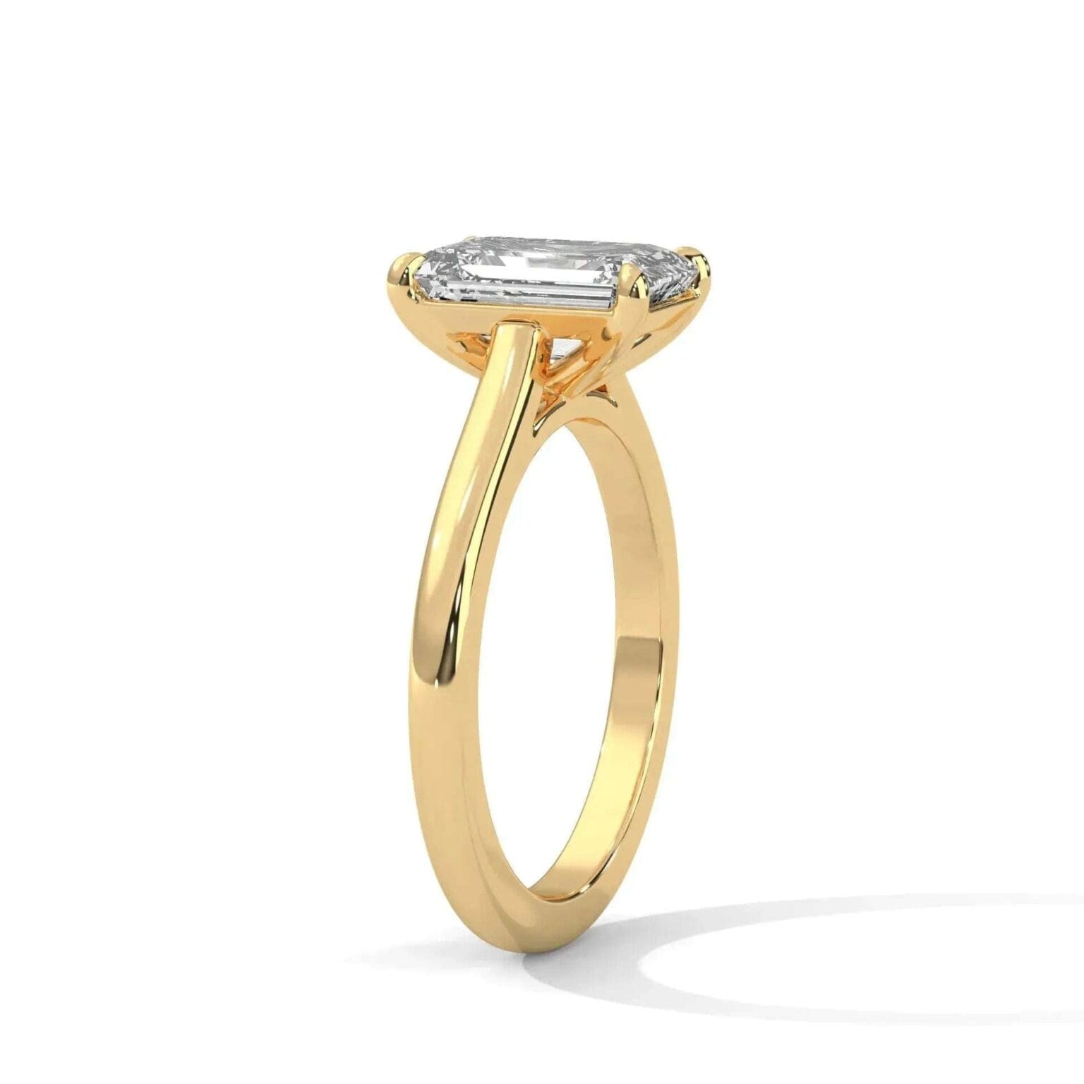 the cardinal cathedral setting