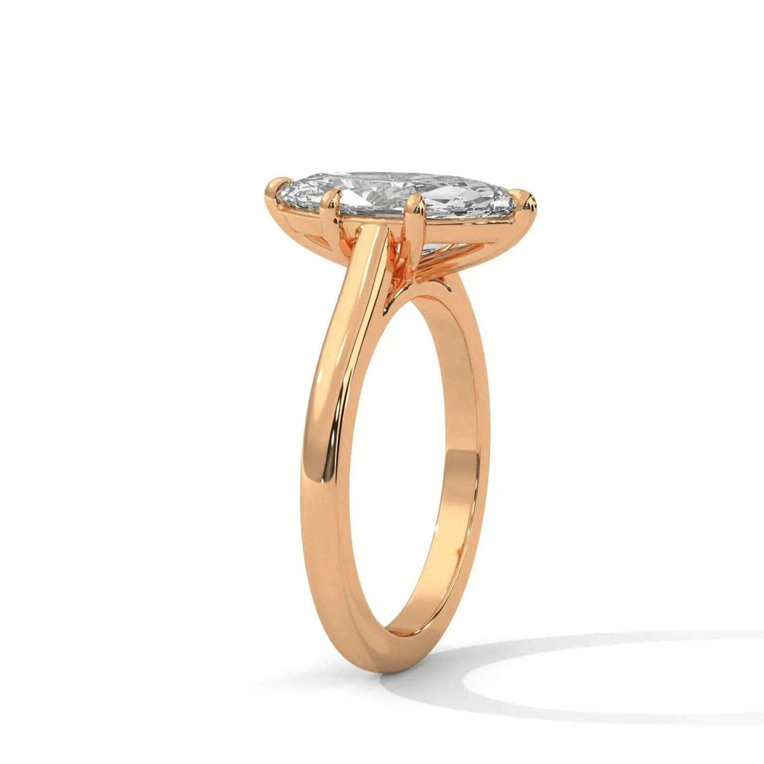 the cardinal cathedral setting