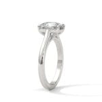 the cardinal cathedral setting