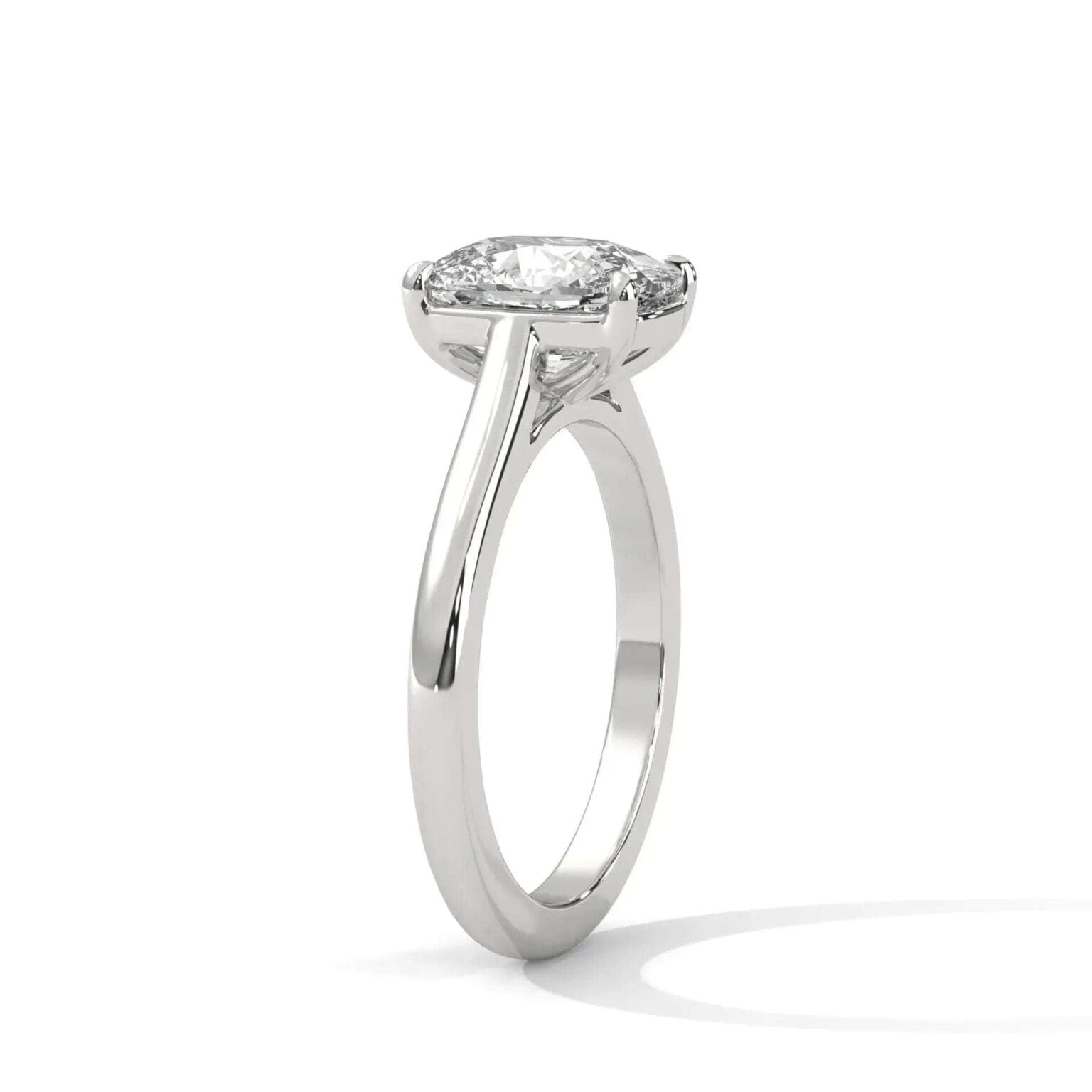 the cardinal cathedral setting