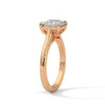 the cardinal cathedral setting