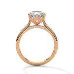 the solstice tulip setting