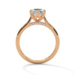 the solstice tulip setting