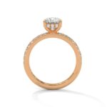 the sun belt setting