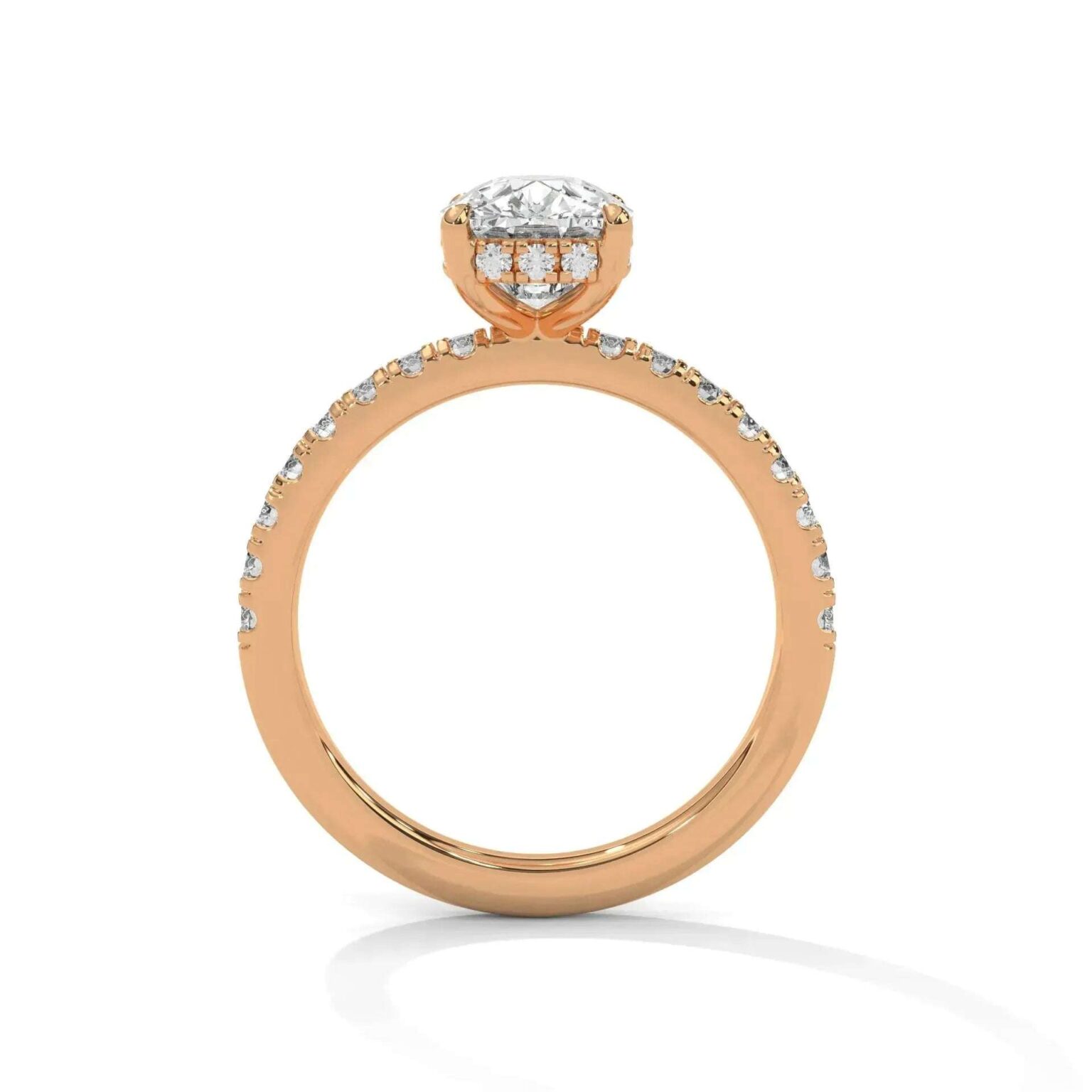 the sun belt setting