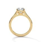 the cardinal cathedral setting