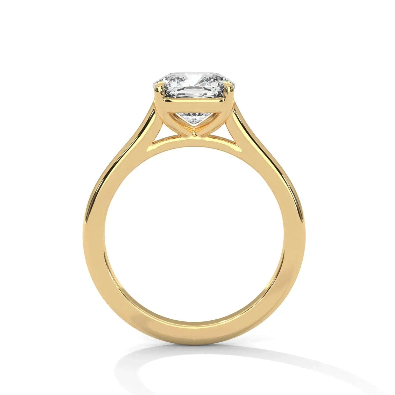 the cardinal cathedral setting