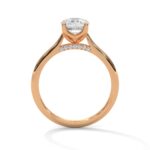 the solstice tulip setting