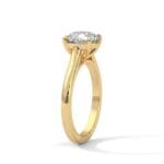 the cardinal cathedral setting