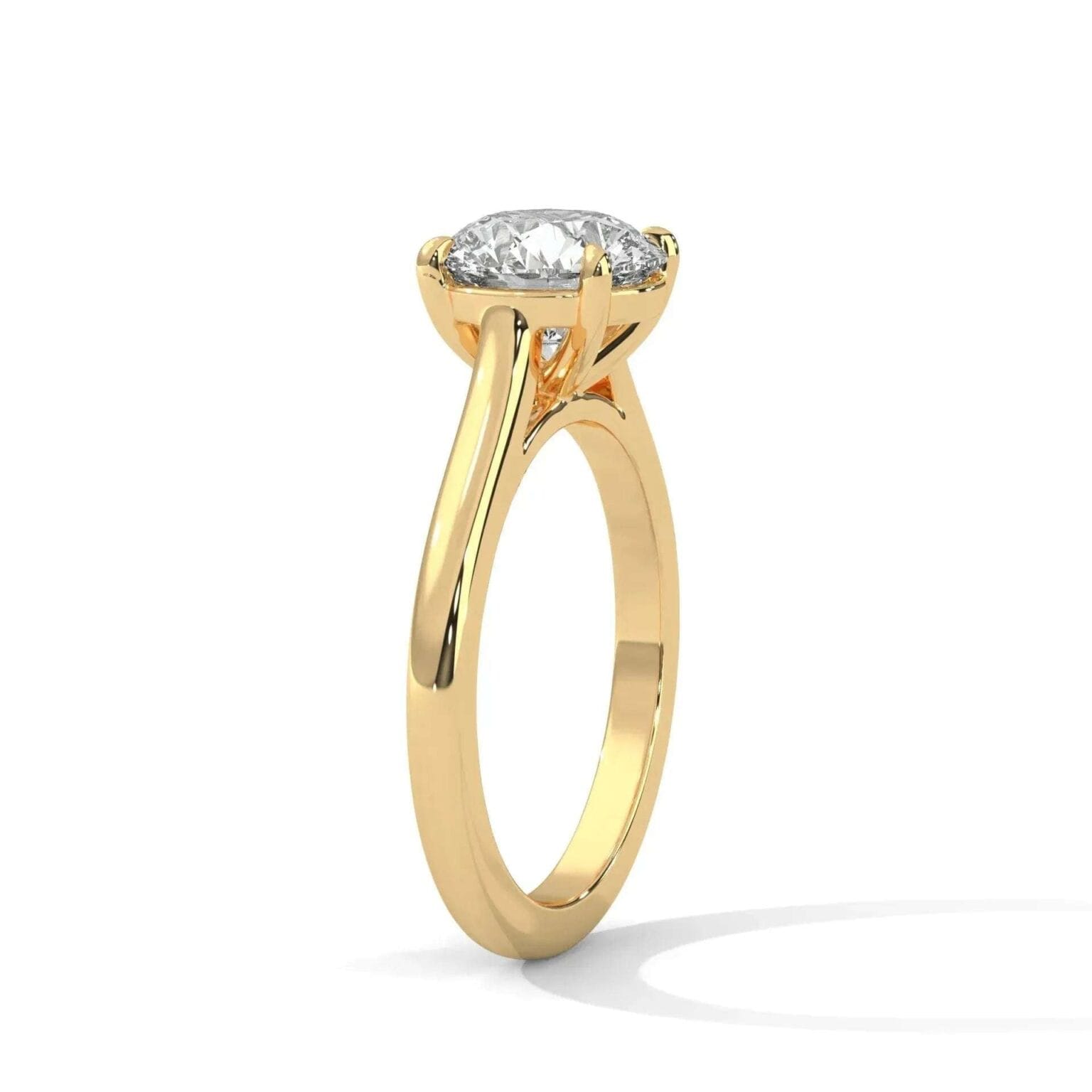 the cardinal cathedral setting