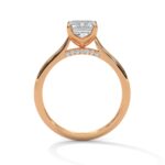 the solstice tulip setting