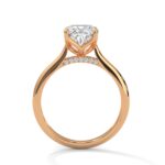 the solstice tulip setting