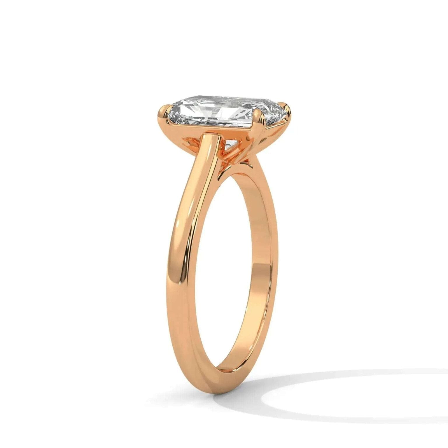 the cardinal cathedral setting