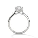 the solstice tulip setting