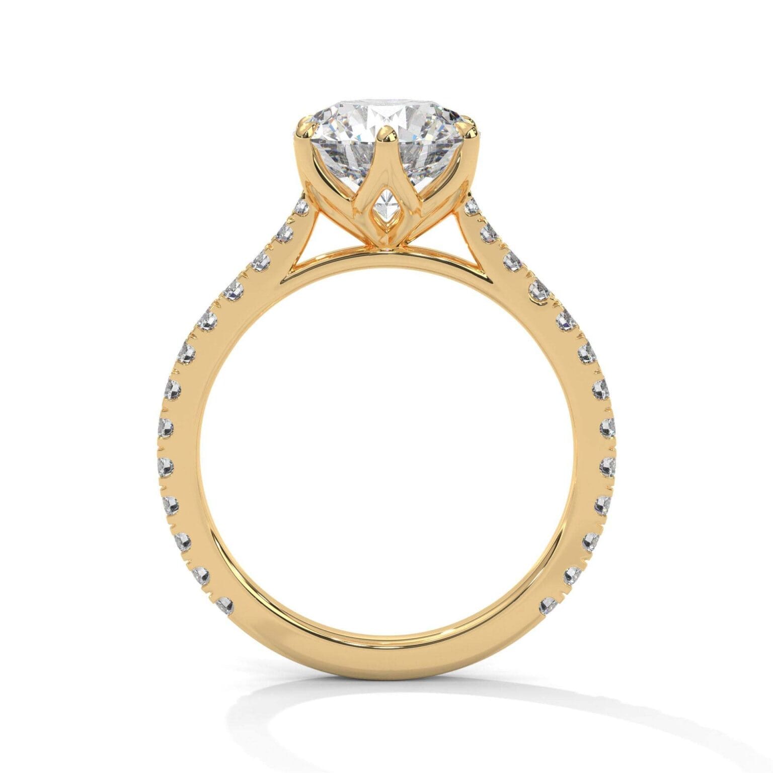 the Étoile tulip setting