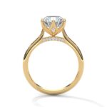 the solstice tulip setting