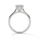 the solstice tulip setting