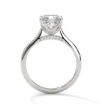 the solstice tulip setting