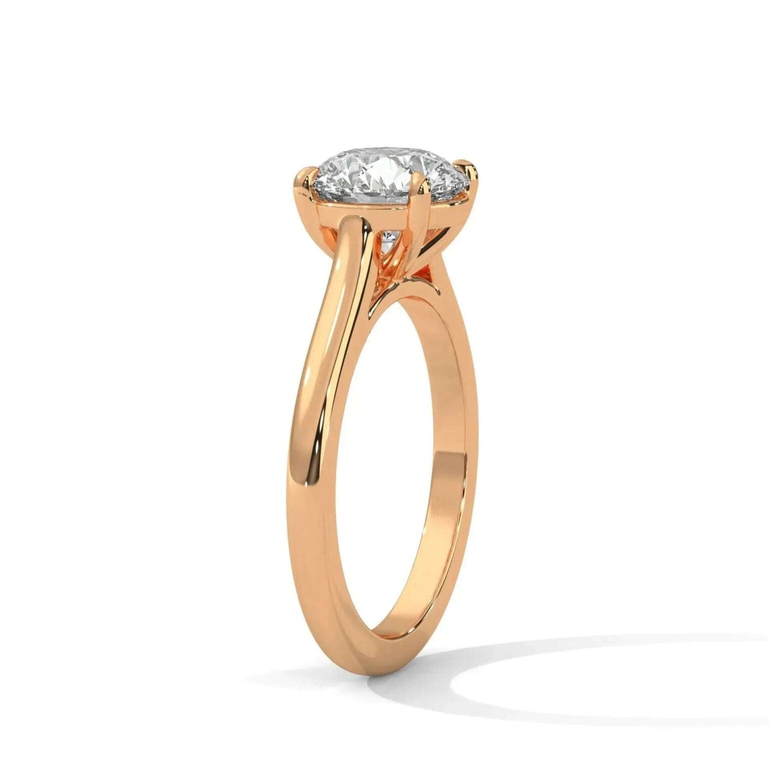 the cardinal cathedral setting